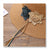 Trendy Braided Flower Straw Hat for Women - Hot Seller